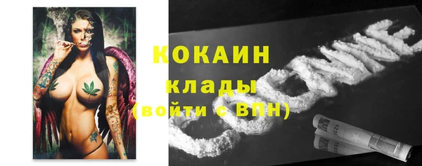 тгк Алзамай