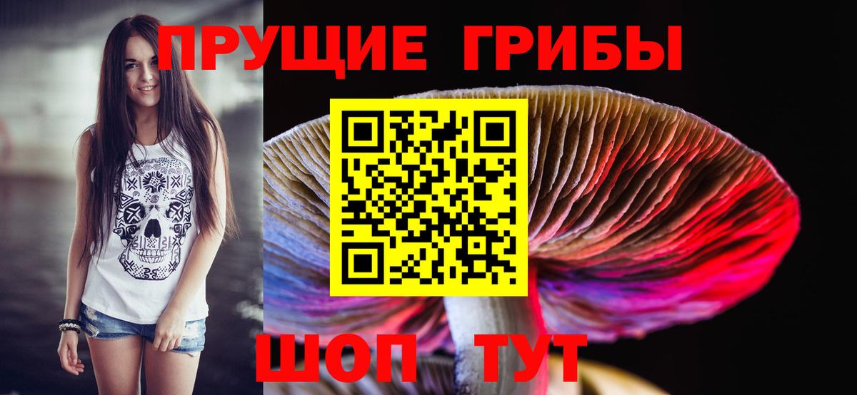 Зеленокумск  Галлюциногенные грибы MAGIC MUSHROOMS  Вход с VPN  Псилоцибиновые грибы Psilocybe 