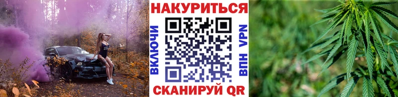 Конопля индика  купить закладку  Зеленокумск 